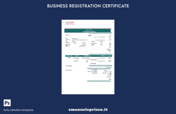 stile verificato Modello Word e PDF di licenza industriale degli Emirati Arabi U